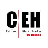 آموزش دوره امنیت CEH در کرج